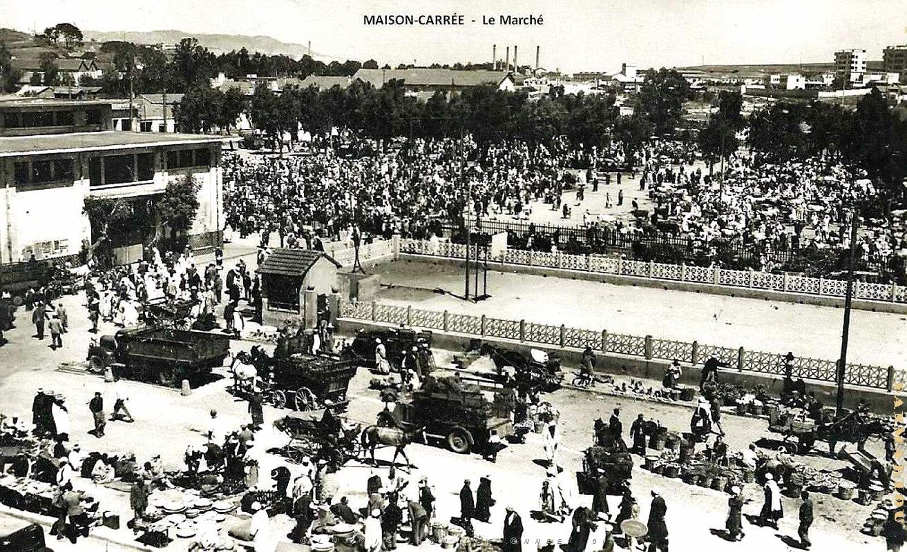 Maison-Carree - Marche.jpg